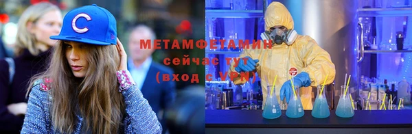 прущие грибы Краснотурьинск
