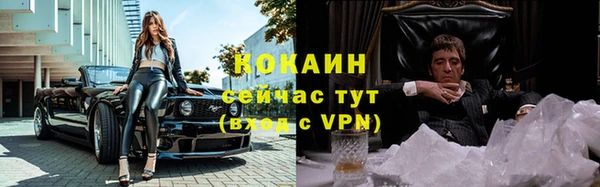 прущие грибы Краснотурьинск
