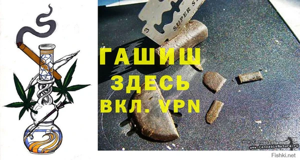 прущие грибы Краснотурьинск