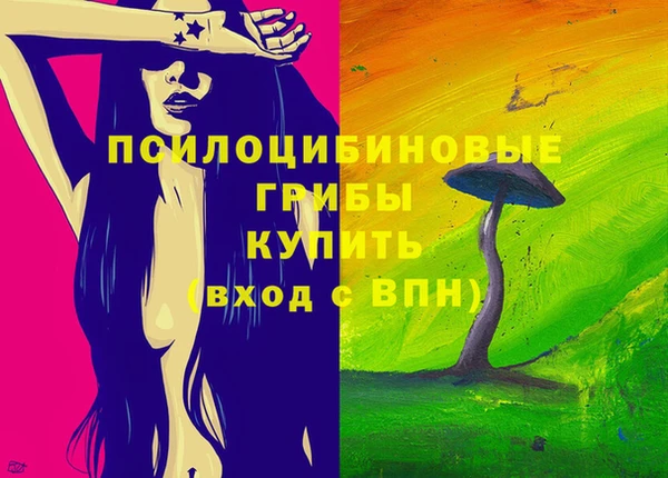 спайс Коряжма