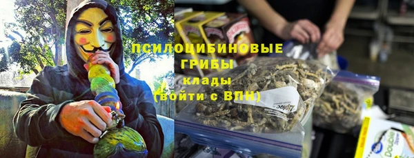 спиды Корсаков