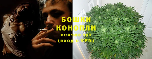 спайс Коряжма