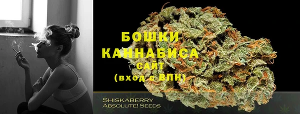 дживик Краснослободск