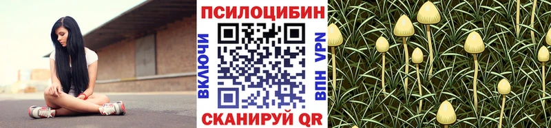 Галлюциногенные грибы GOLDEN TEACHER  Купить  Бежецк 
